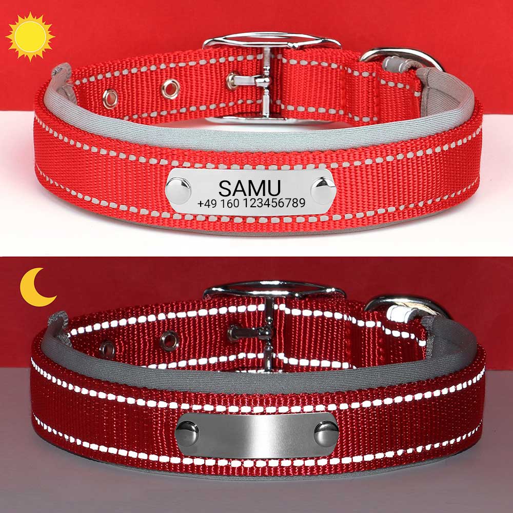 Graviertes Hundehalsband "Samu" mit Reflektor-Sicherheitsnähten. Personalisierung mit Name und Telefon