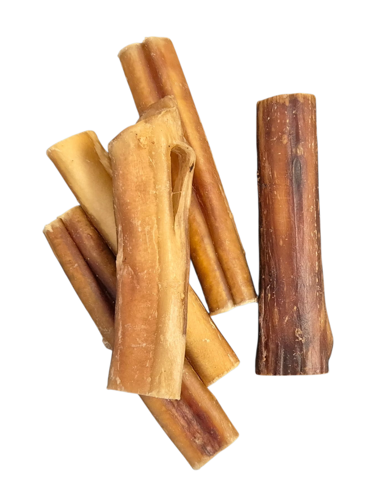 Ochsenziemer 12 cm - Hundesnack