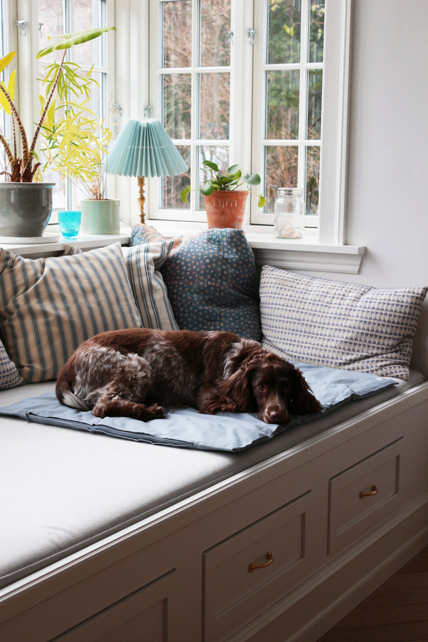 kuschlige Hundedecke Bio-Baumwolle | verblasstes blau