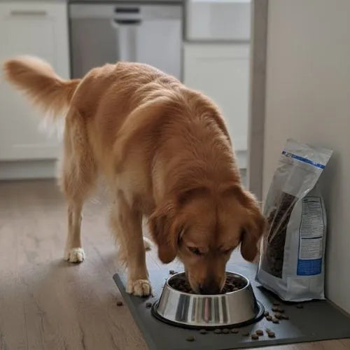 Hundefutter - Eurital Dog Choice- Schwein mit Süßkartoffel und Apfel