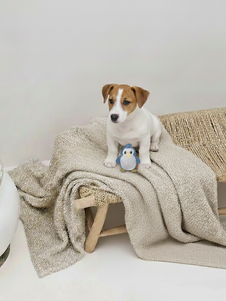 Hundespielzeug aus Leder "kl. Pinguin"