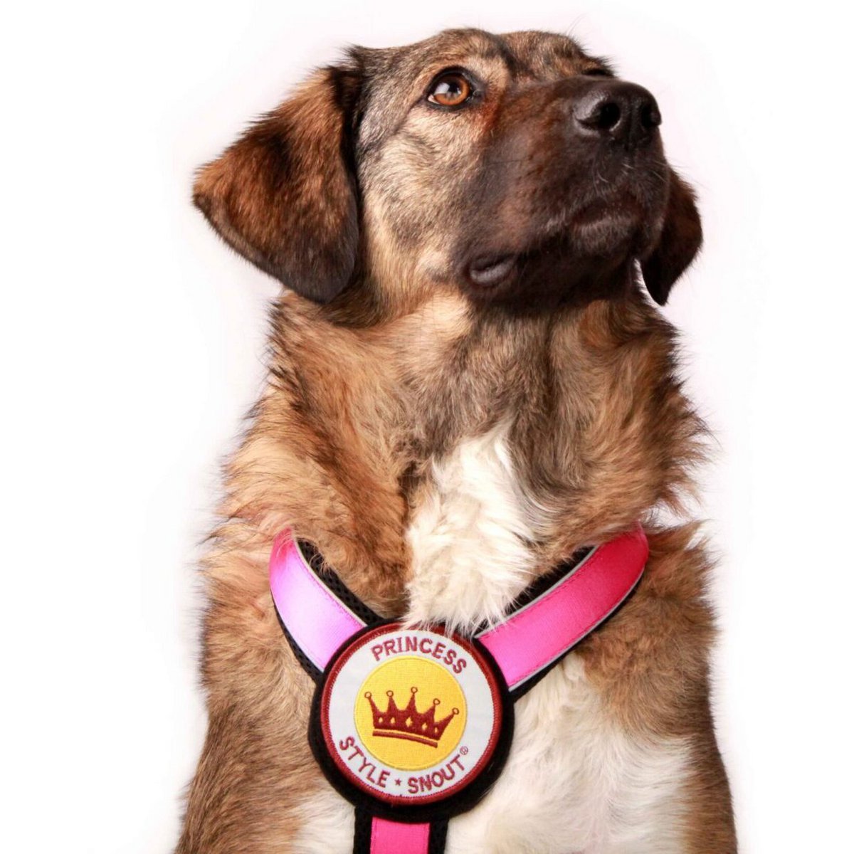 Brustgeschirr – Patch&Style – Pink
