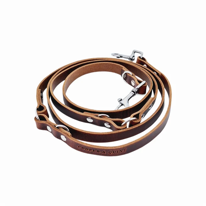 Hundeleine, einstellbar Leder -Leine | Braun