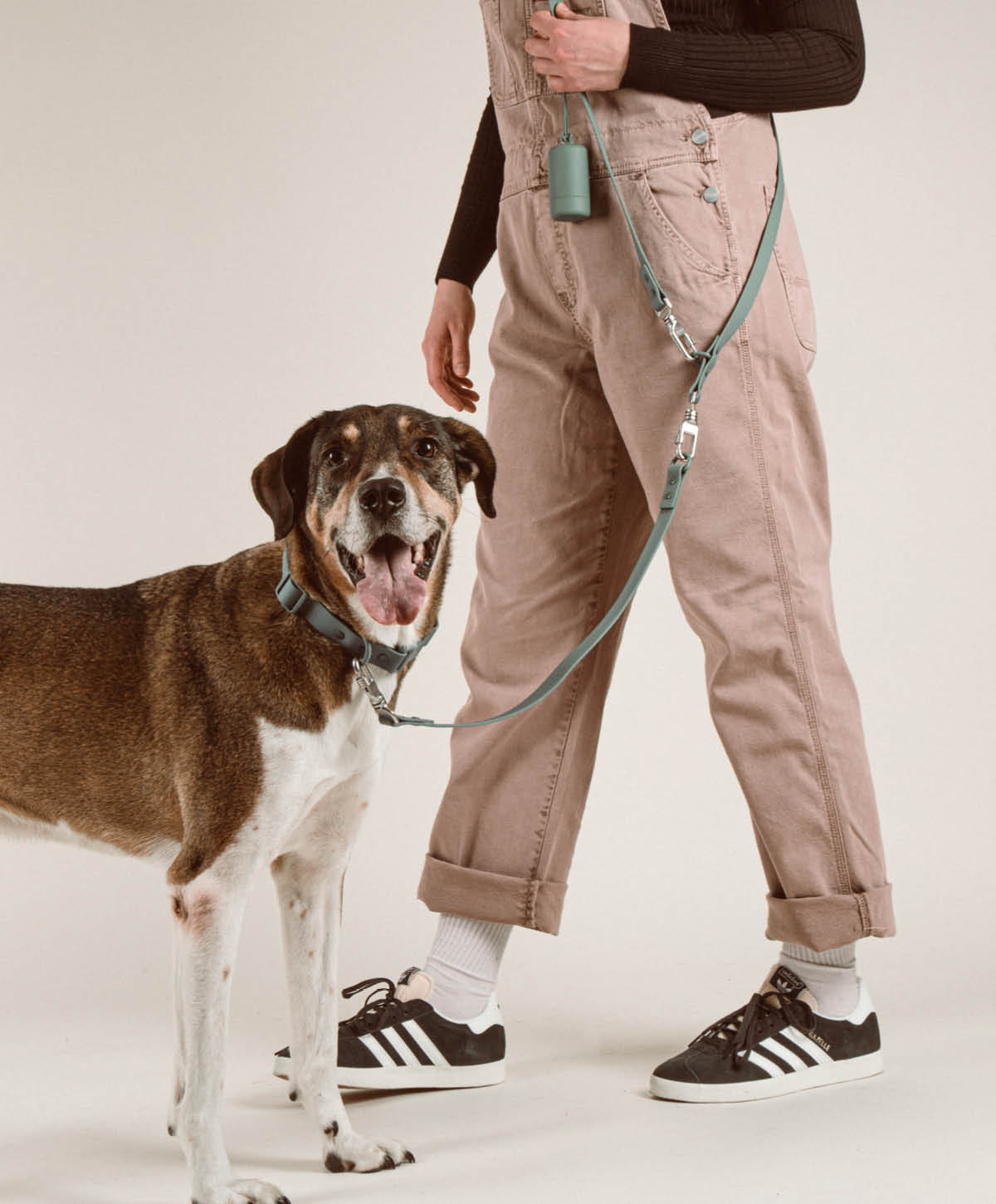 Halsband, Hundeleine - Walk Set