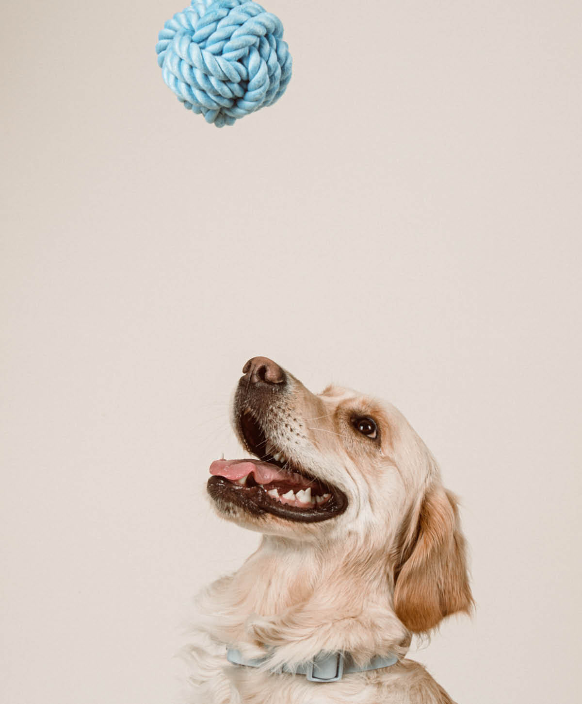 Hundespielzeug - Twisted Rope Toy