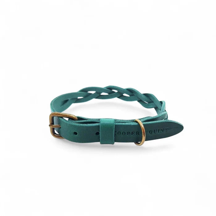 Hundehalsband, gedrehtes Halsband aus Leder Grün