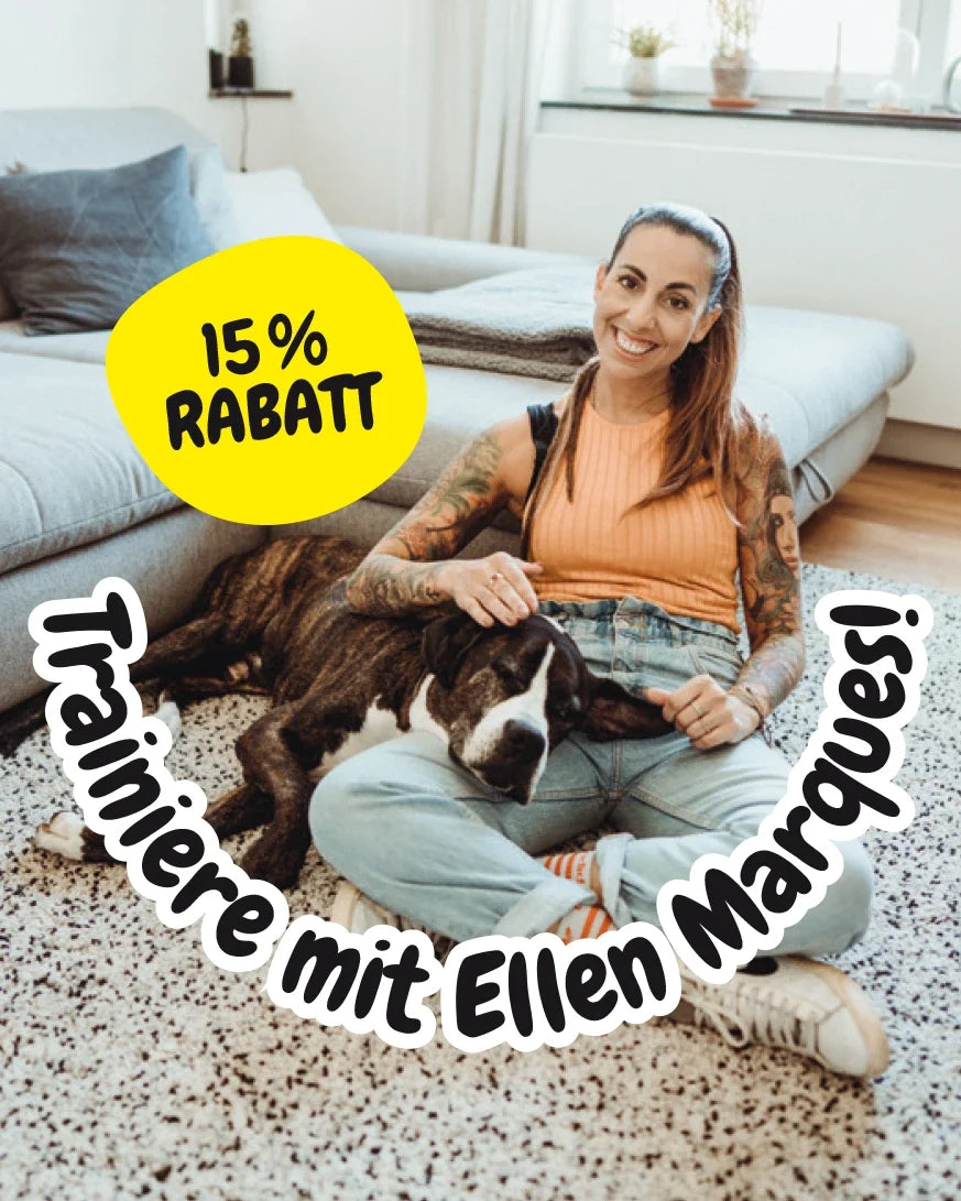 Hundespielzeug aus Leder "Wal" - BUDDY.