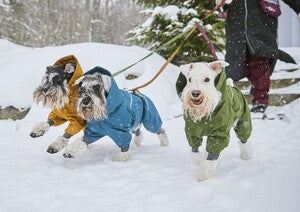Hurtta Hunde-Overall Extreme Overall II in arctic sea | forest | desert