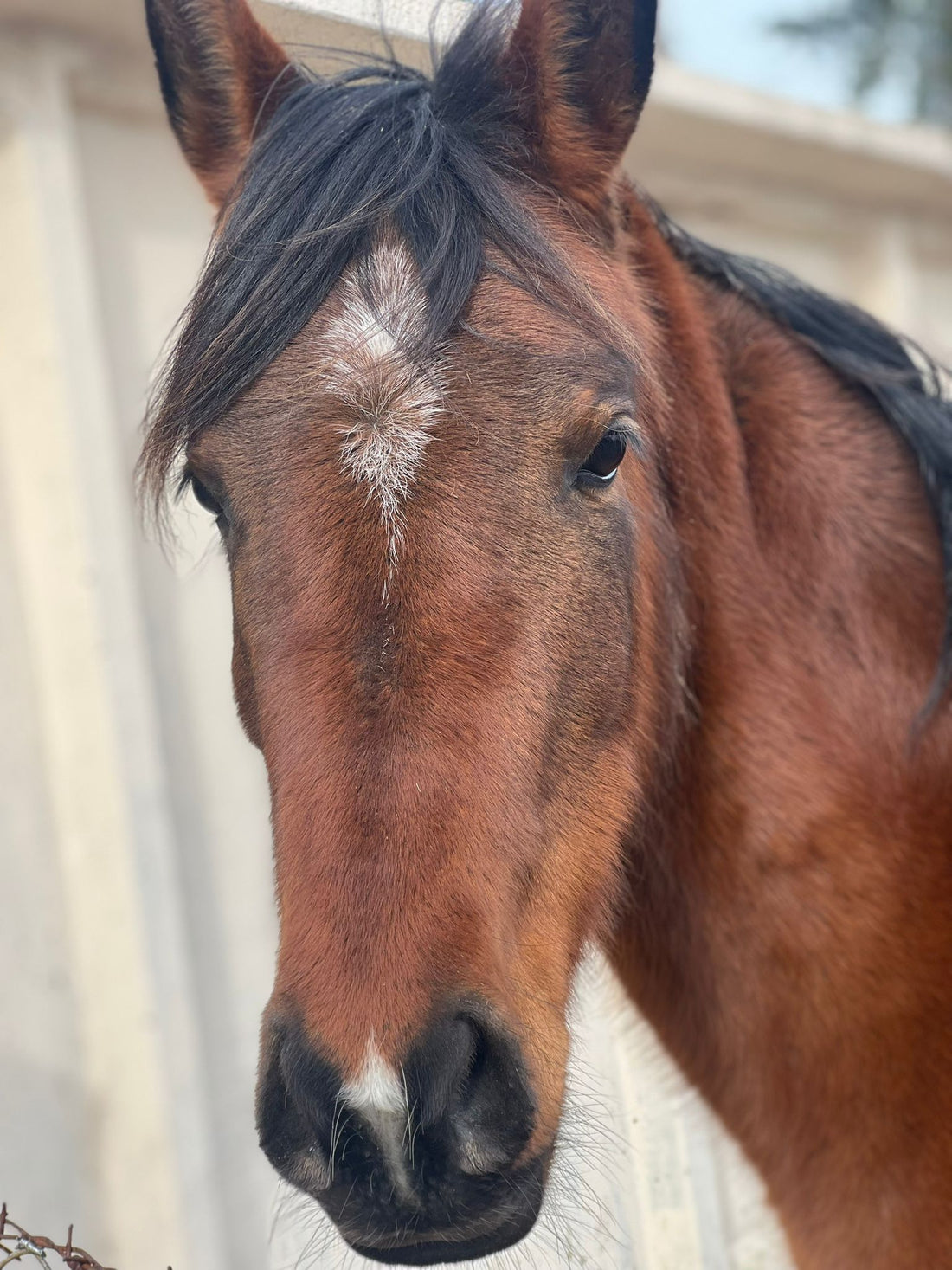 Unser neues Familienmitglied