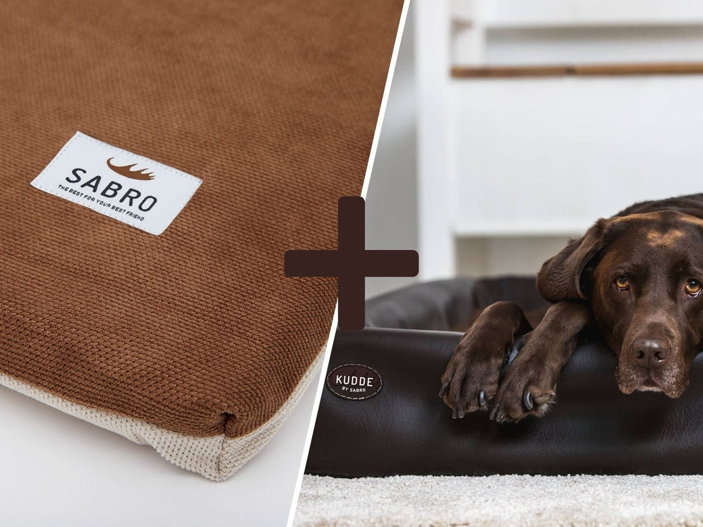 Hundebett - Orthopädisch-Plus Bundle | KUDDE Hundebett + Mumin Einlage Alltid
