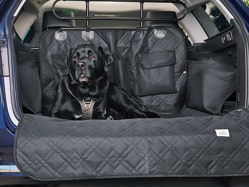 Schondecke für Hunde - RESA für den Kofferraum
