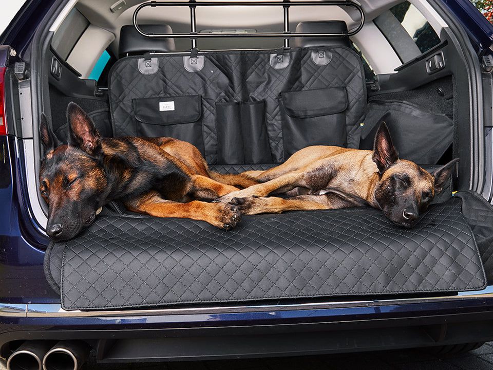 Schondecke für Hunde - RESA für den Kofferraum