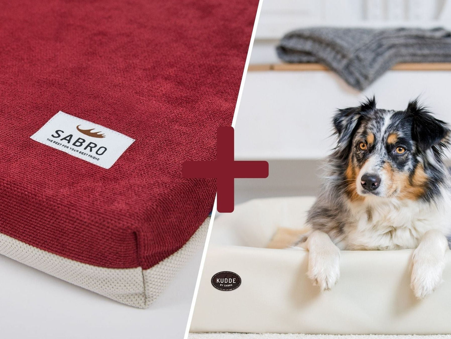 Hundebett - Orthopädisch-Plus Bundle | KUDDE Hundebett + Mumin Einlage Alltid