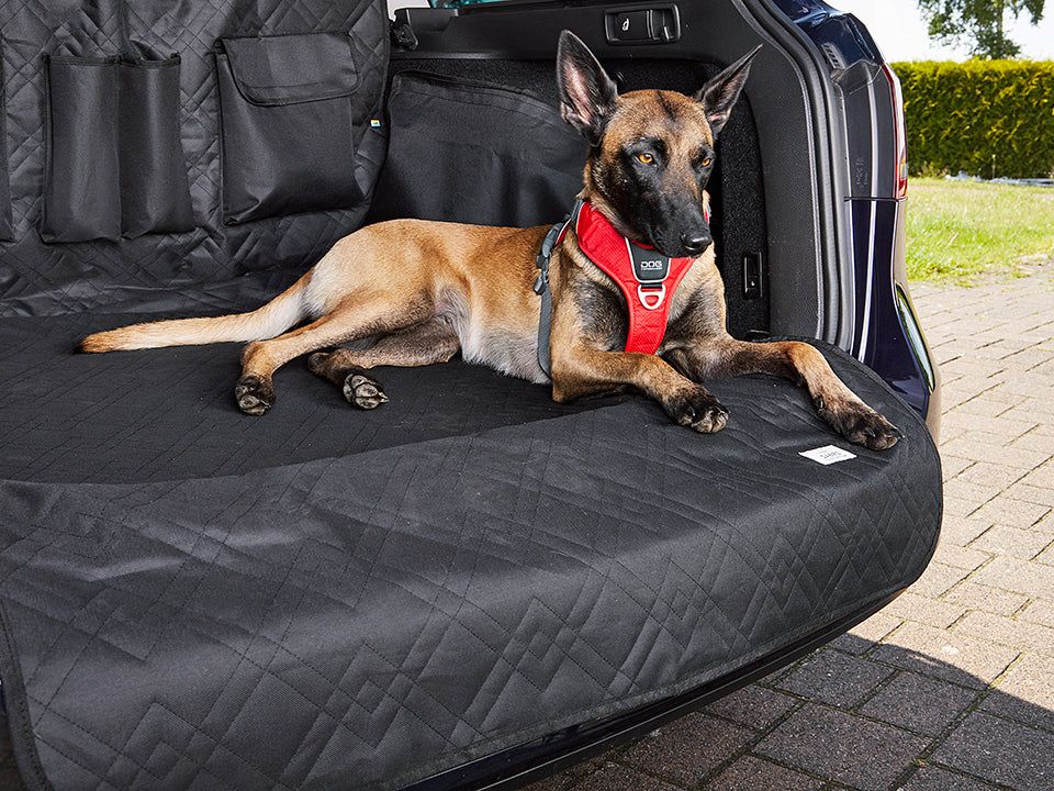 Schondecke für Hunde - RESA für den Kofferraum