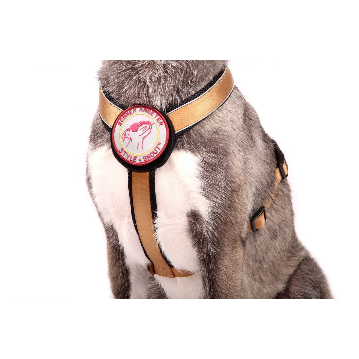 Brustgeschirr – Patch&Style – Gold