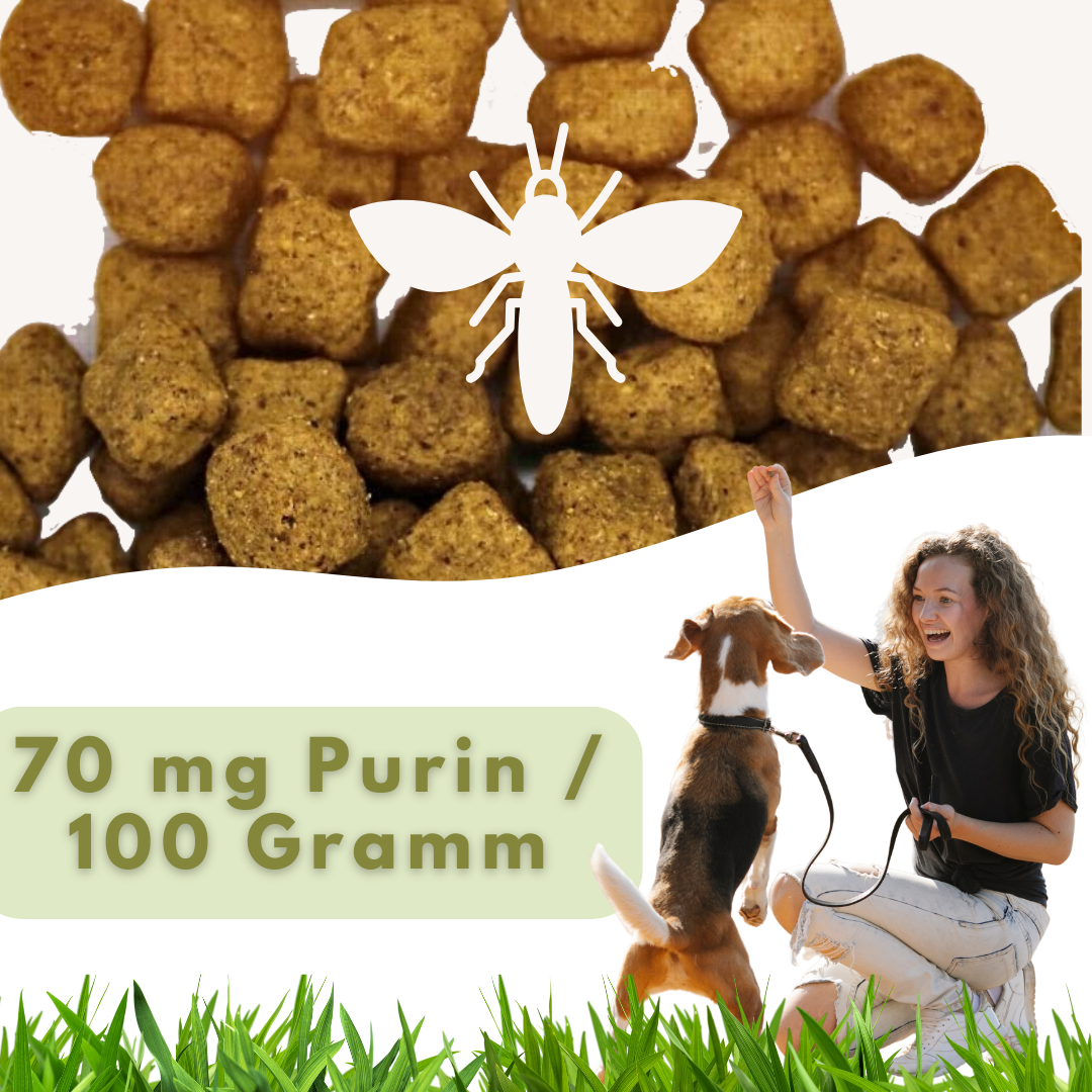 MyPetClub Insekten Purinarm - Hundefutter