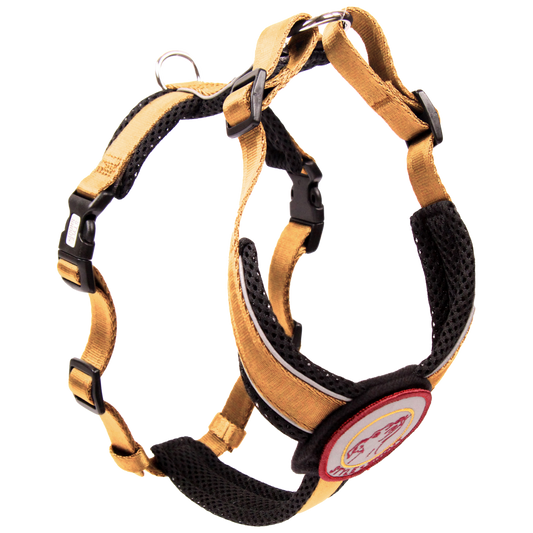 Brustgeschirr – Patch&Style – Gold