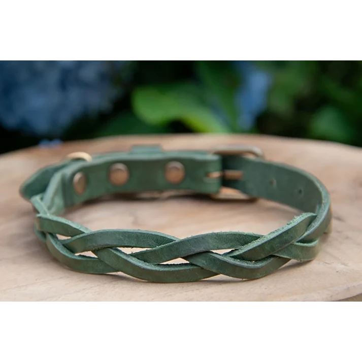 Hundehalsband, gedrehtes Halsband aus Leder Grün
