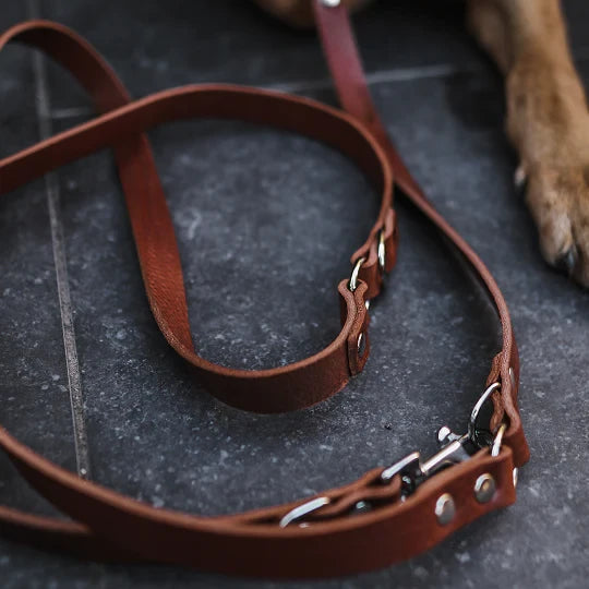 Hundeleine, einstellbar Leder -Leine | Braun