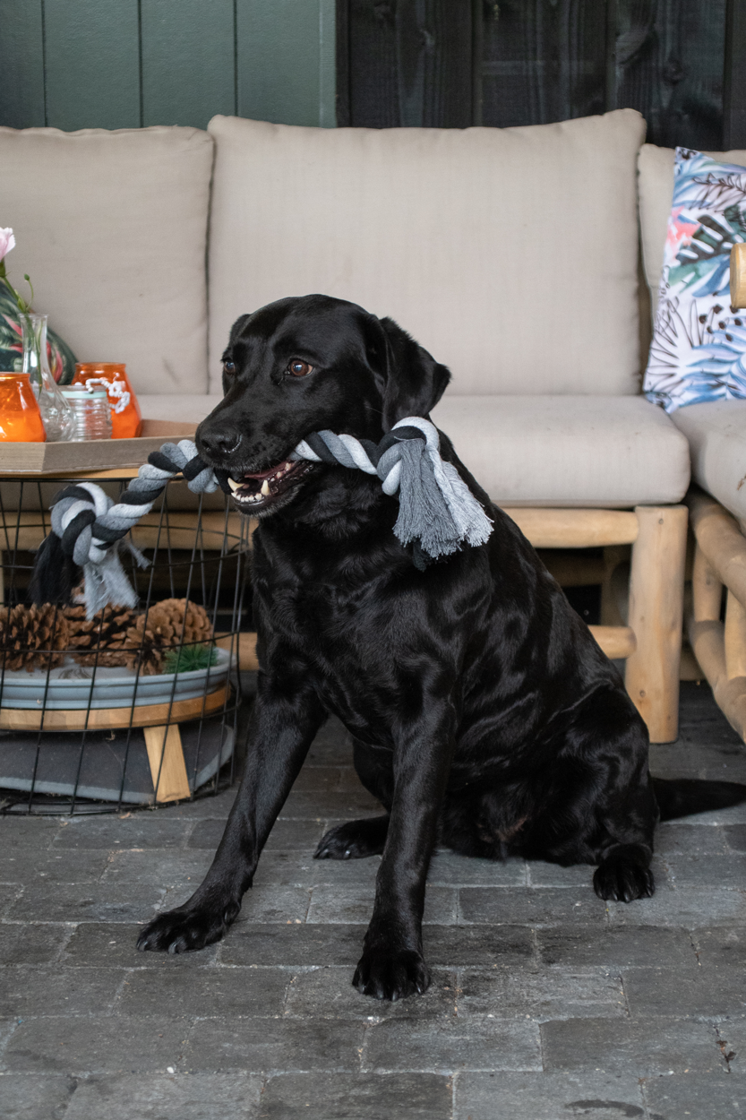 Zahnseil "Floss Boss Dental Rope Extra Heavy" 2 Knoten 85cm - Hundespielzeug