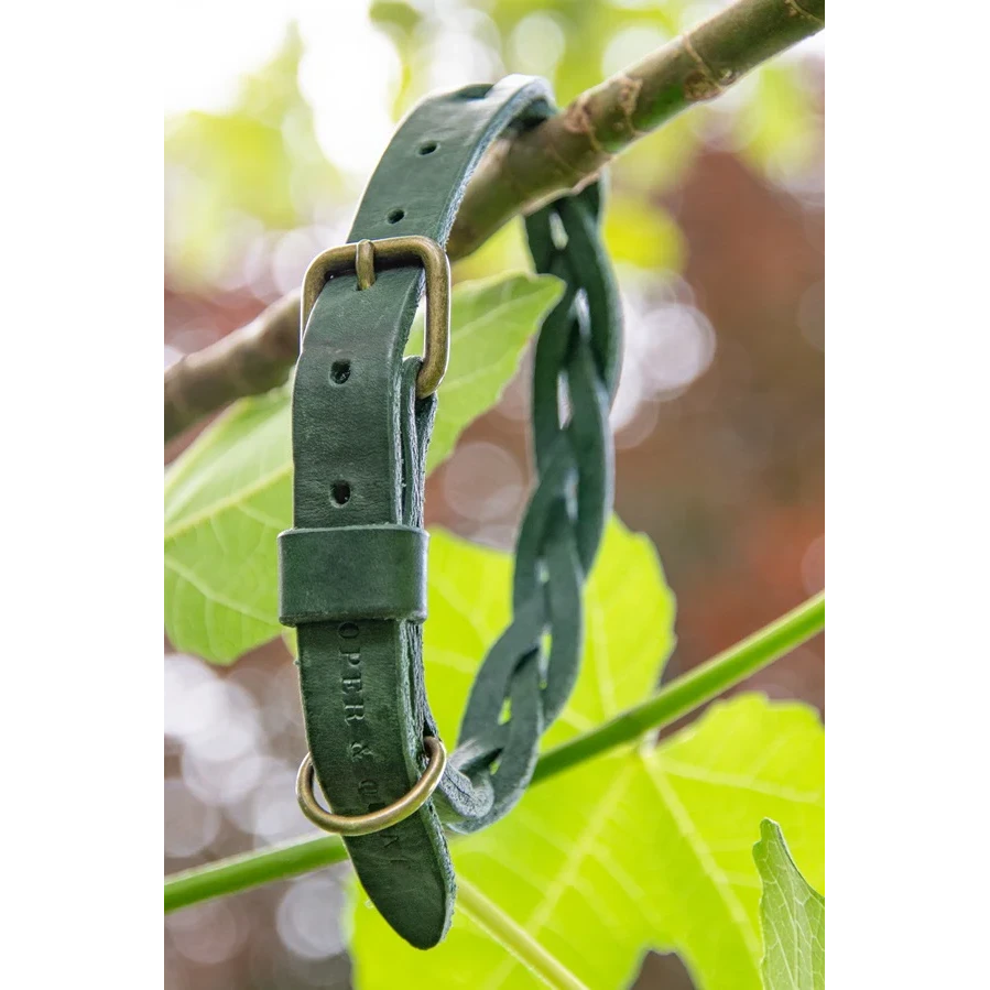 Hundehalsband, gedrehtes Halsband aus Leder Grün
