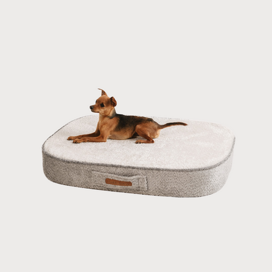Orthopädische Hundematratze Merlin – Premium-Stützbett für große Hunderassen, handgefertigt in Europa
