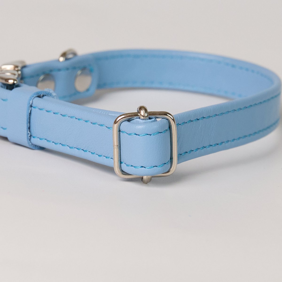 Michelle Lederhalsband | Hundehalsband