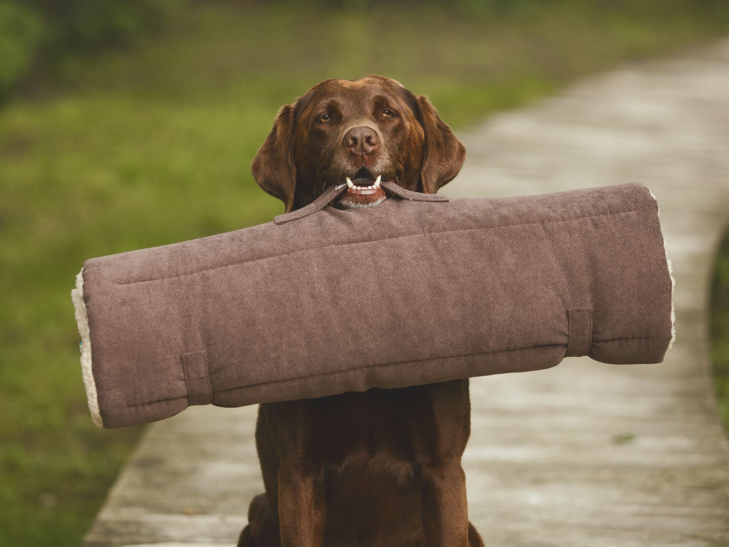 Hundematte, Reisematte RESOR