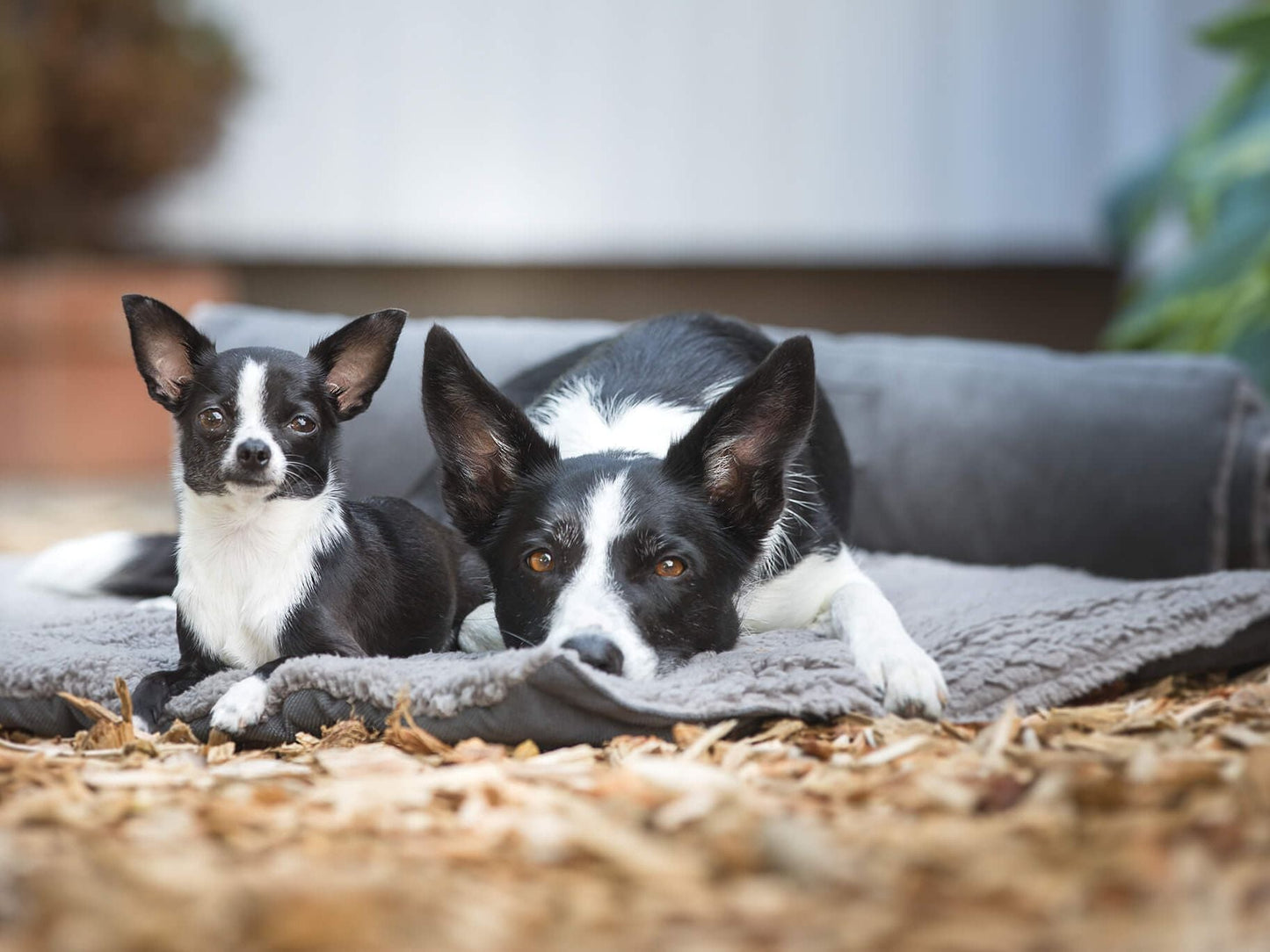 Hundematte, Reisematte RESOR