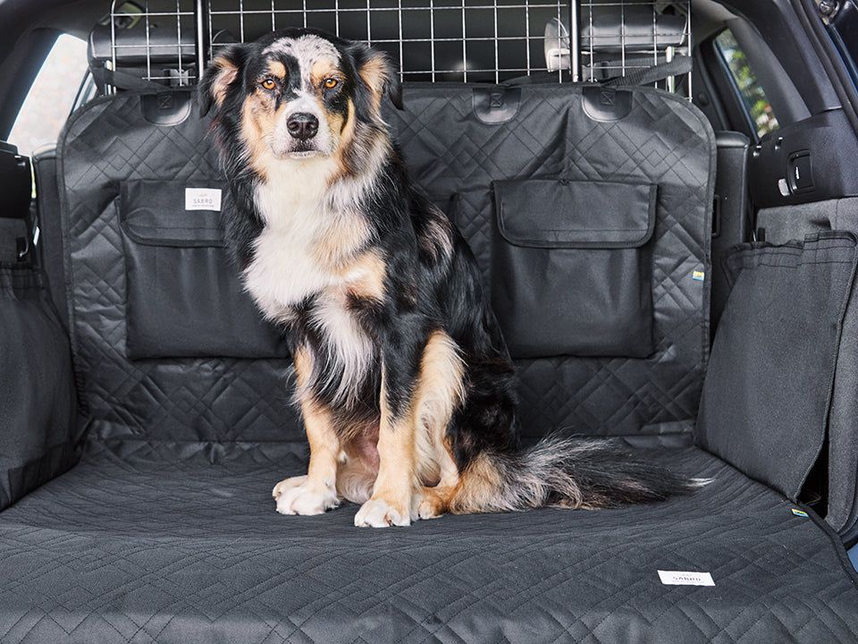 Schondecke für Hunde - RESA für den Kofferraum