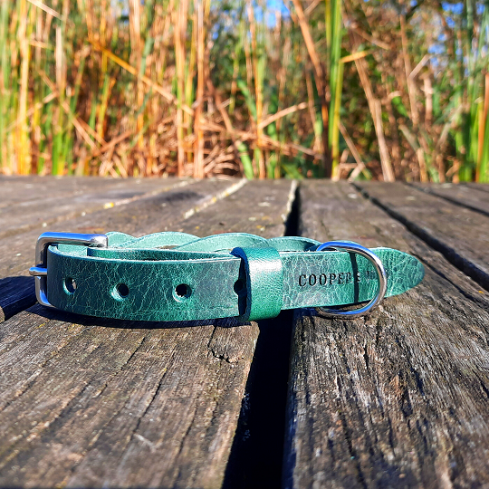 Hundehalsband, gedrehtes Halsband aus Leder Grün