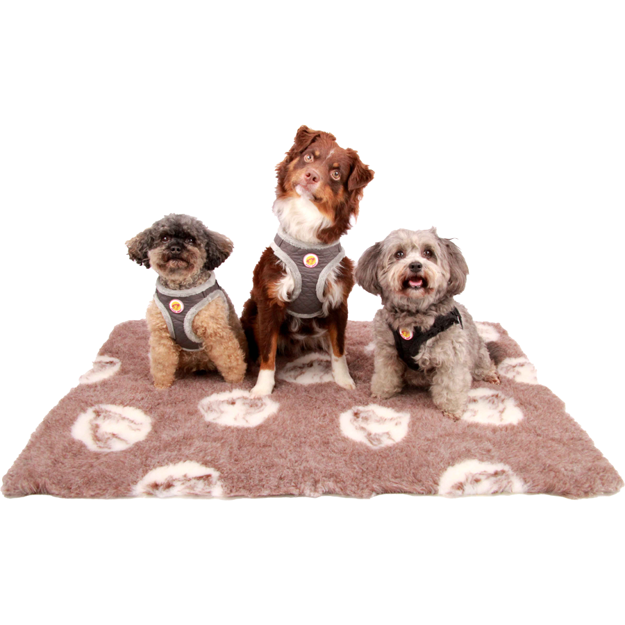 Brustgeschirr – Soft&Style – Grau