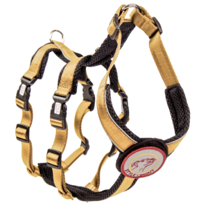 Sicherheitsgeschirr – Patch&Safe – Gold