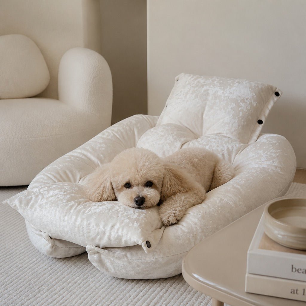 MALIBU 2-in-1 umwandelbares Hundebett zu einer Matratze