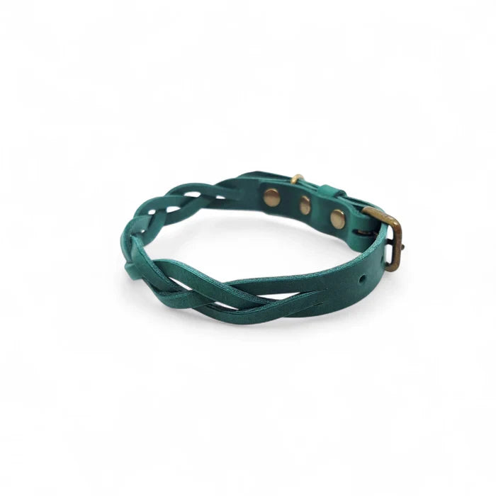 Hundehalsband, gedrehtes Halsband aus Leder Grün