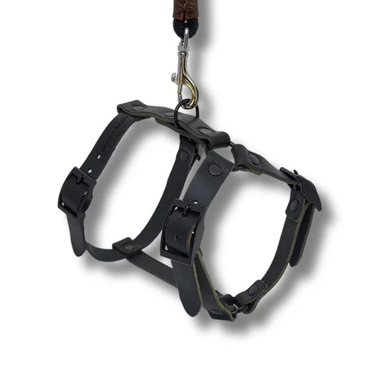 No Fuss Y-Geschirr Hundegeschir -Leder | Schwarz