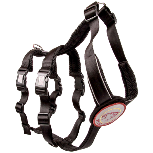 Sicherheitsgeschirr – Patch&Safe – Schwarz