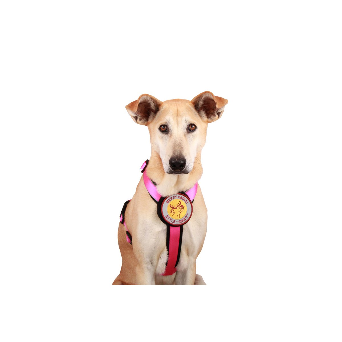 Brustgeschirr – Patch&Style – Pink