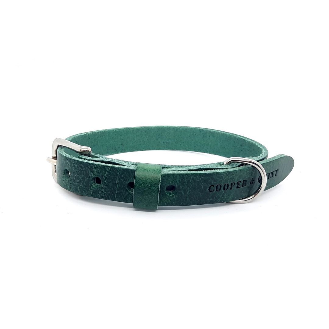 Klassisches, zeitloses Halsband aus Leder Grün