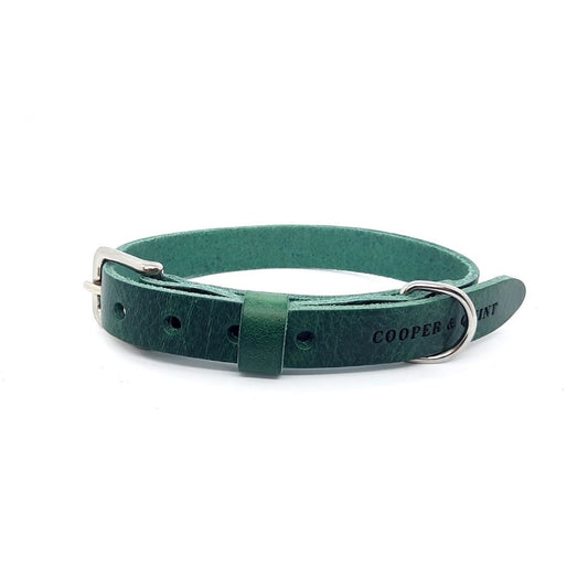 Klassisches, zeitloses Halsband aus Leder Grün