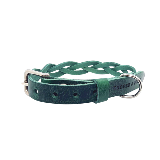 Hundehalsband, gedrehtes Halsband aus Leder Grün
