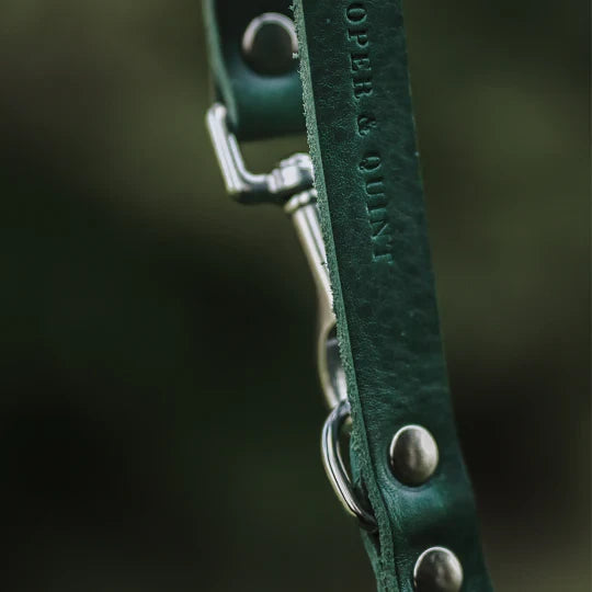 Hundeleine, einstellbar, Leder -Leine | Grün