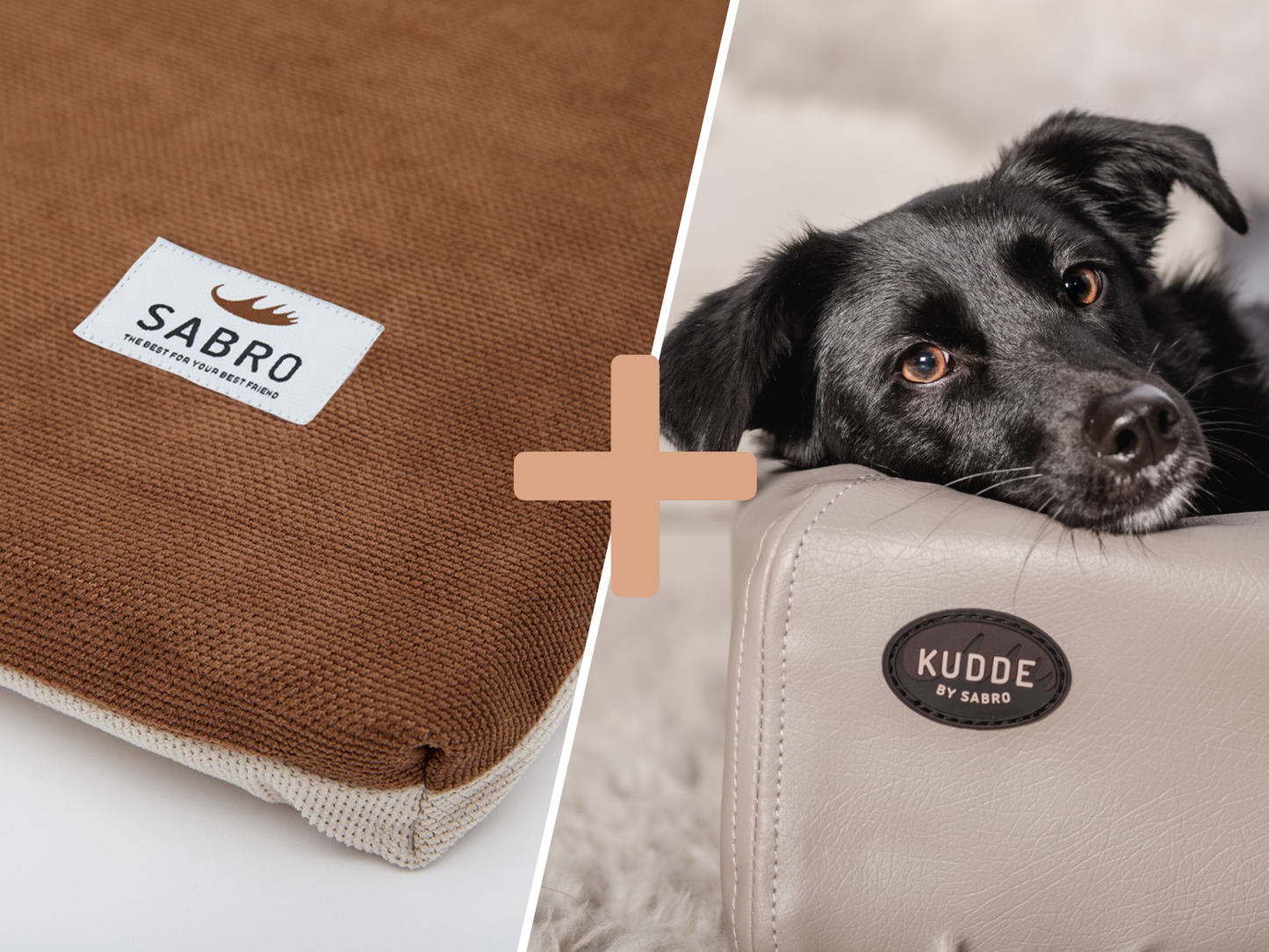 Hundebett - Orthopädisch-Plus Bundle | KUDDE Hundebett + Mumin Einlage Alltid