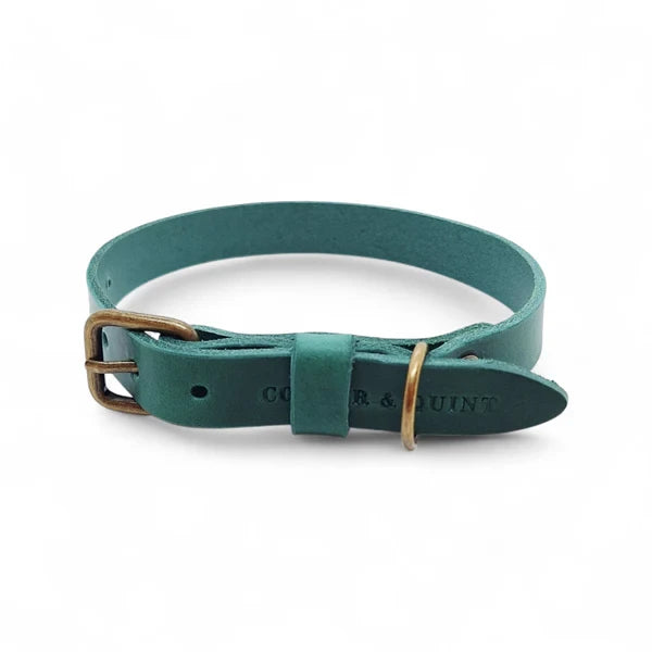 Klassisches, zeitloses Halsband aus Leder Grün