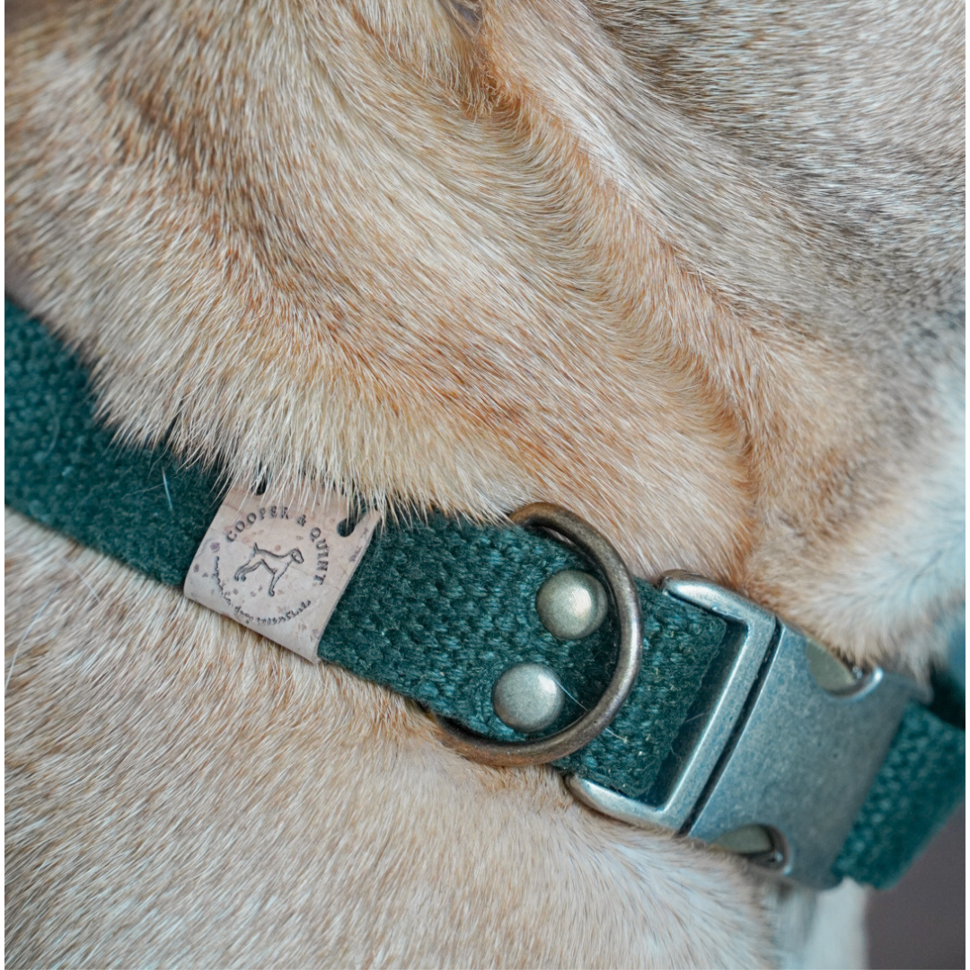 Hanfhalsband, Hundehalsband | Waldgrün