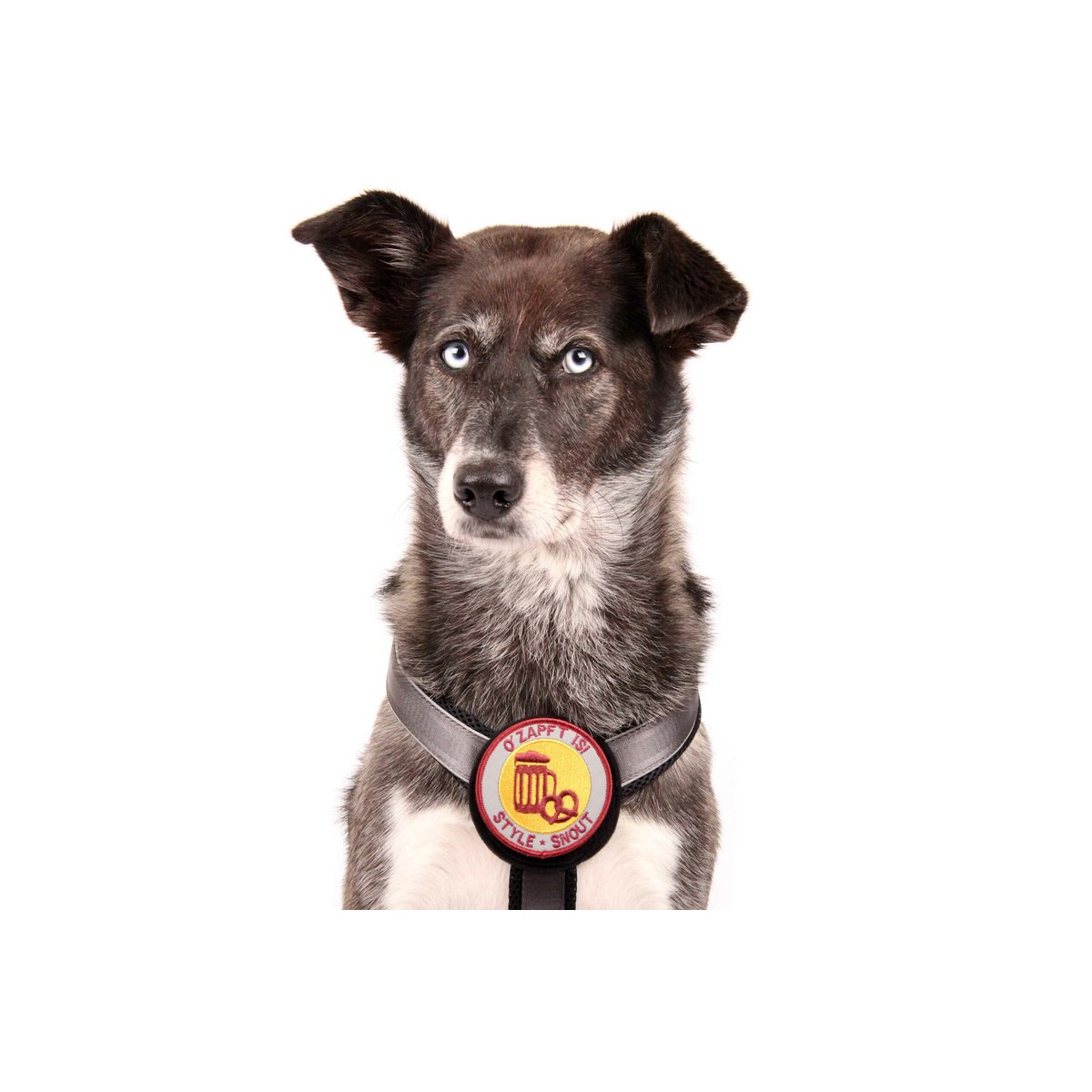 Brustgeschirr – Patch&Style – Silber