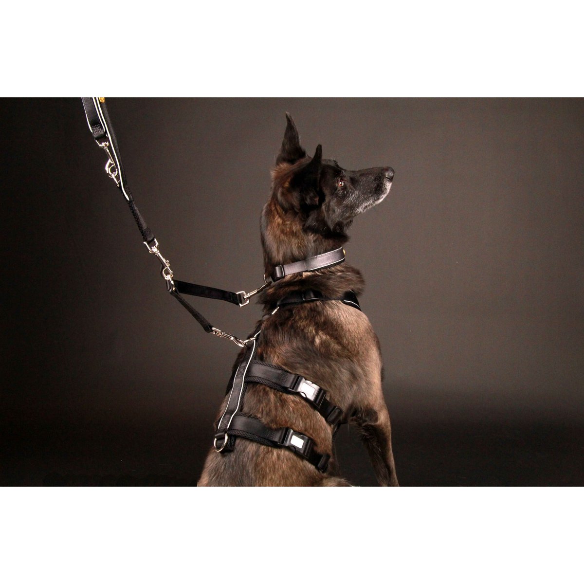 Sicherheitsgeschirr – Patch&Safe – Silber