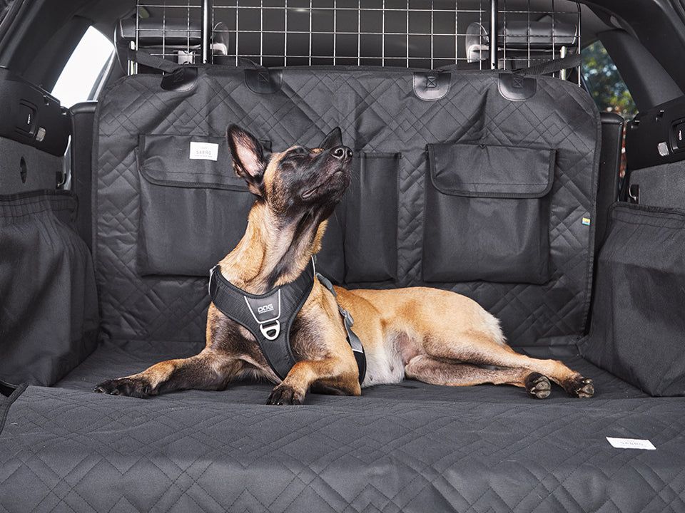 Schondecke für Hunde - RESA für den Kofferraum