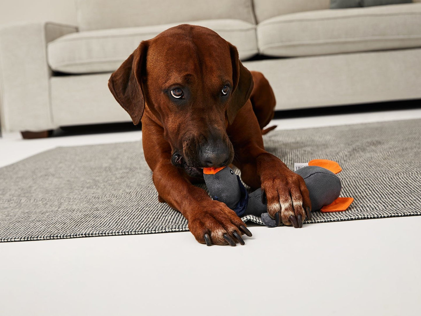 Hundespielzeug - Gans ÖNNE