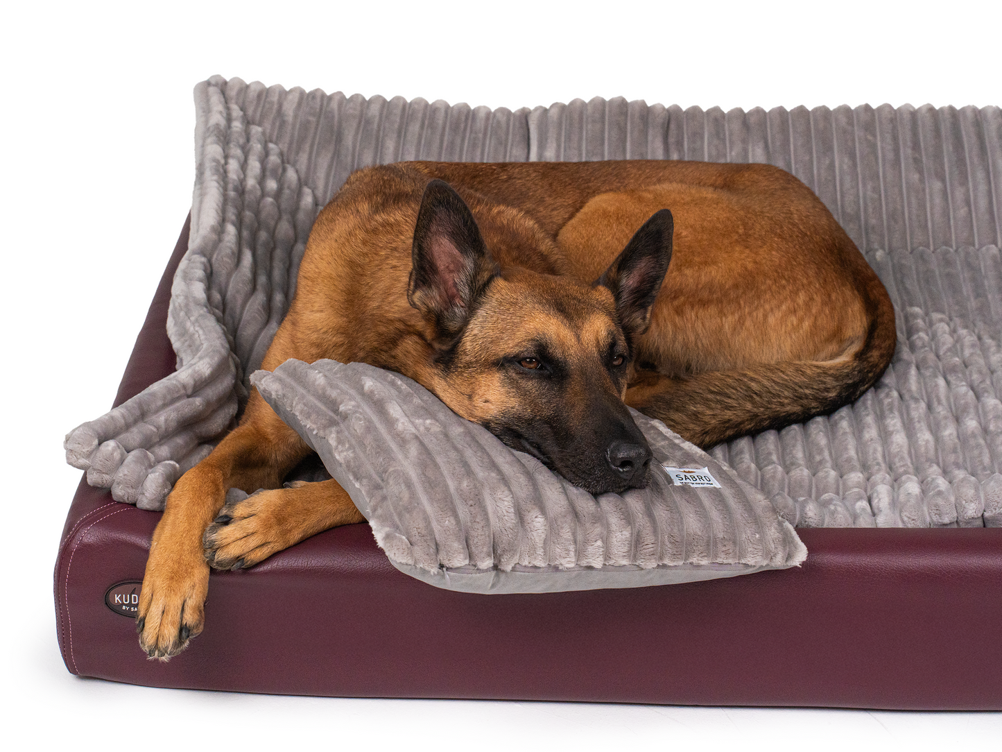 Hundebett | All-In Relax Bundle | KUDDE Hundebett + Einlage & Kissen
